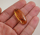 Мадагаскарский копал с насекомыми 13,96 карат