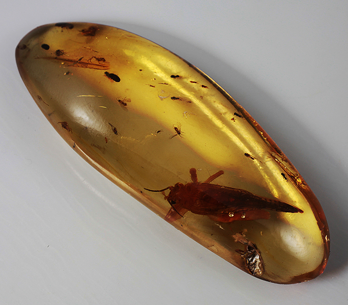 Мадагаскарский копал с насекомыми 13,96 карат