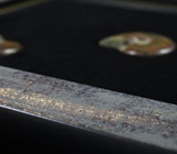 Три опализированных мадагаскарских аммонита в багете 48,56 грамм