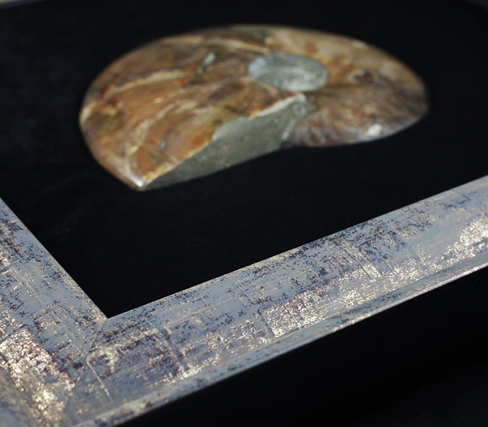 Крупный опализированный мадагаскарский аммонит в багете 603,5 грамм