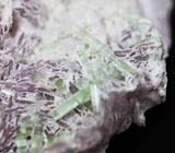 Кристаллы зеленых турмалинов на флогопите с кварцем 482 грамм Не указан