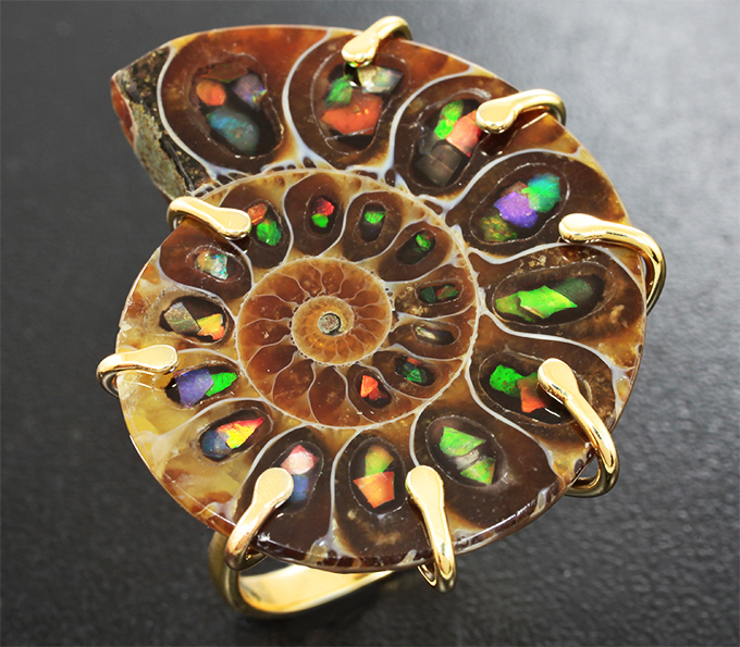 Золото Кольцо с аммонитом с аммолитовой мозаикой