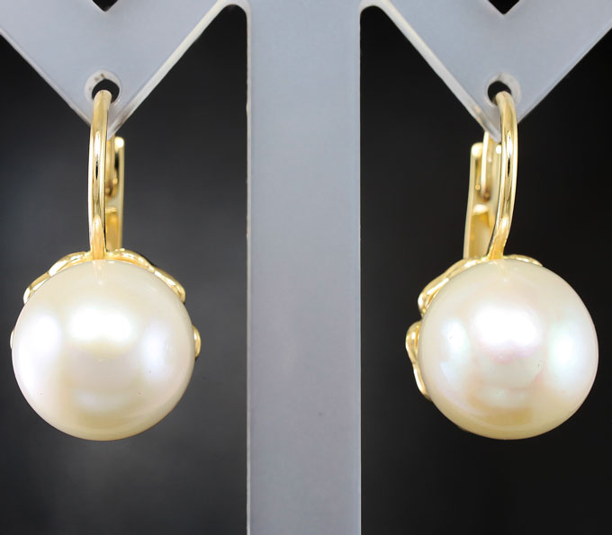 Золото Серьги с крупным морским жемчугом