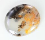 Дендритический опал 36 карата