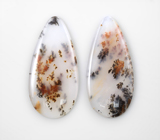 Подвесы для серег с агатом с включениями дендритов 16,02 карата и гранатами со сменой цвета Серебро 925