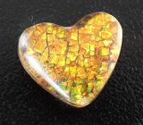 Аммолит 5,59 карата