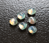 Набор из 6 хризобериллов с эффектом кошачьего глаза 0,46 карата