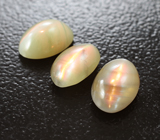 Крупный набор из 3 хризобериллов с эффектом кошачьего глаза 4,44 карата