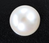 Кремово-белая морская жемчужина 11,74 карата