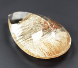 Редкий! Крупный топаз с рутилом 45,73 карата