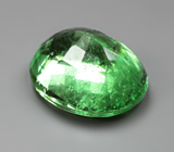 Ярко-неоновый цаворит 2,33 карата