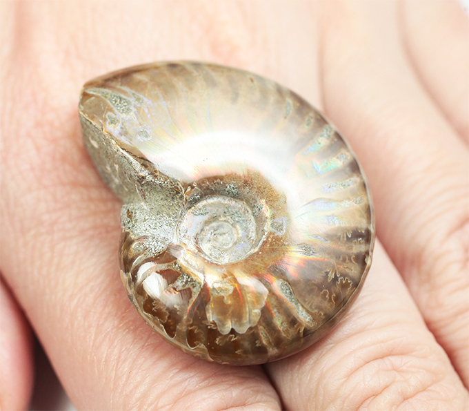 Опализированный аммонит 81,16 карата