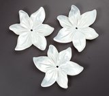 Набор резного перламутра 21,02 карата