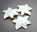 Набор резного перламутра 21,02 карата