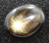 Кольцо cо звездчатым сапфиром 6,05 карата Серебро 925