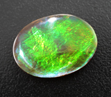 Аммолит аммонита 13,27 карата