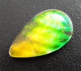 Аммолит аммонита 12,49 карата