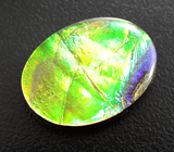 Аммолит аммонита 13,79 карата