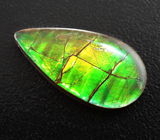 Крупный аммолит аммонита 11,57 карата