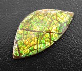 Аммолит аммонита 3,52 карата