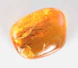 Доминиканский янтарь с насекомыми 5,59 карата