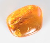 Доминиканский янтарь с насекомыми 5,59 карата