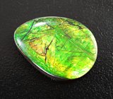 Крупный аммолит 14,55 карата