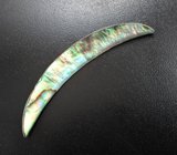 Крупный абалон 19,45 карата