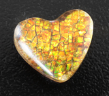 Аммолит 5,59 карата