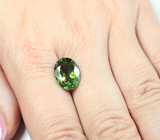 Желтовато-зеленый турмалин 4,8 карата